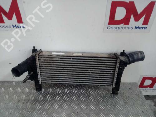 Intercooler NISSAN PATHFINDER III (R51)  | BP14455372M30 