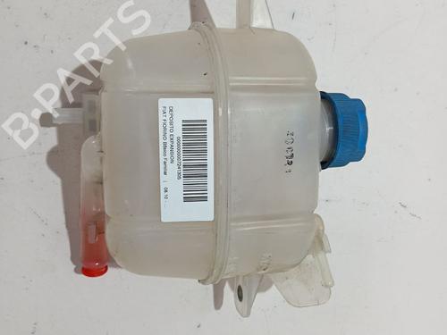 Expansion tank FIAT QUBO (225_) 1.3 D Multijet (225AXE1A, 225CXE1A, 225AXH1A, 225AXL1A,... | BP27166361C120