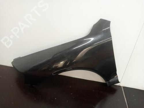 Left front fenders VW TOUAREG (7LA, 7L6, 7L7)  | BP16519489C41 