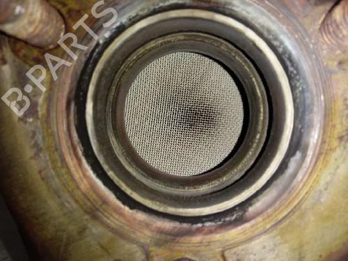 Catalyst SEAT IBIZA III (6L1)  | BP12665962M10 