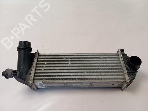 Used Intercooler RENAULT KANGOO / GRAND KANGOO II (KW0/1_) [2008-2025]  28130587