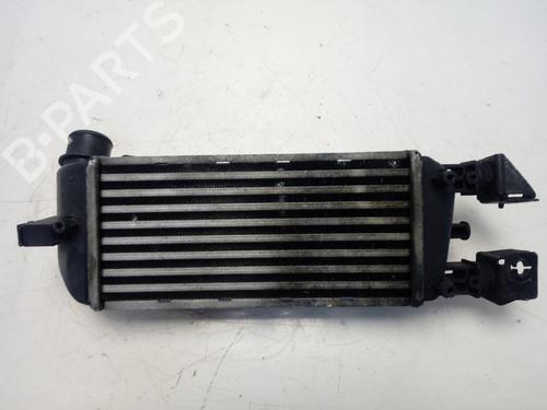 Intercooler FIAT 500 (312_)  | BP17752466M30 