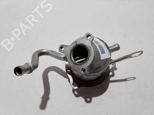 Egr RENAULT EXPRESS Box Body/MPV  | BP29306717M69 