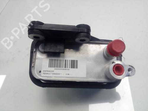 Used Other RENAULT KANGOO / GRAND KANGOO II (KW0/1_) [2008-2026]  17028068