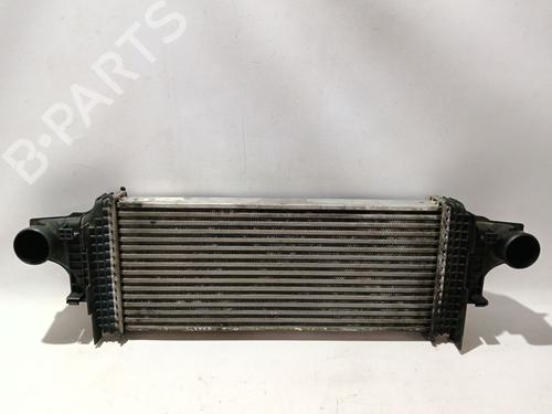 Intercooler MERCEDES-BENZ M-CLASS (W164) [2005-2012]  31805027