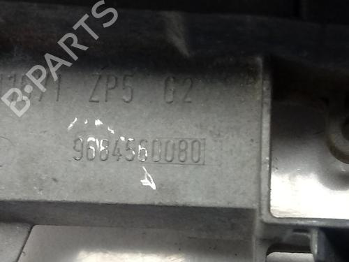 Rear left exterior door handle CITROËN C3 I (FC_, FN_)  | BP15484968C130 