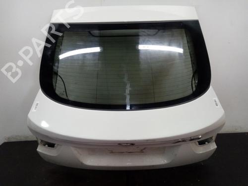 Tailgate BMW X6 (E71, E72)  | BP15852523C6 