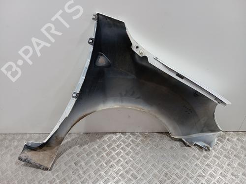 Left front fenders RENAULT KANGOO / GRAND KANGOO II (KW0/1_) 1.5 dCi 85 (KW0K, KW0L, KW0B) | BP27091210C41 