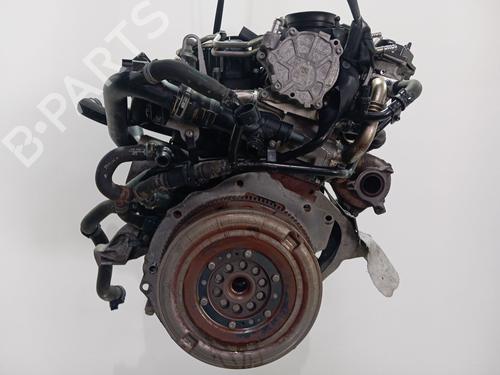 Engine AUDI Q5 (8RB) 2.0 TDI quattro | BP33981069M1  - Image 12