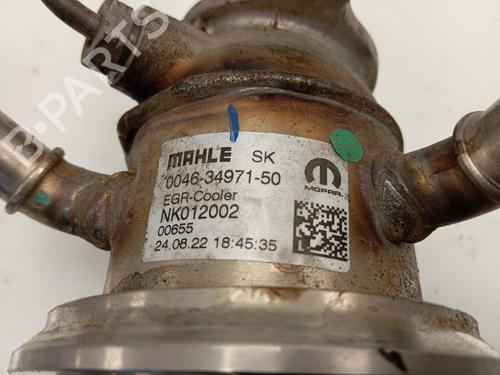 Egr FIAT DOBLO Cargo (263_)  | BP22705446M69 