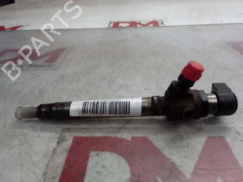 Injector LAND ROVER RANGE ROVER SPORT I (L320) 2.7 D 4x4 | BP12659912M100 