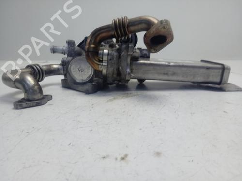 Egr AUDI A5 (8T3)  | BP17243972M69 
