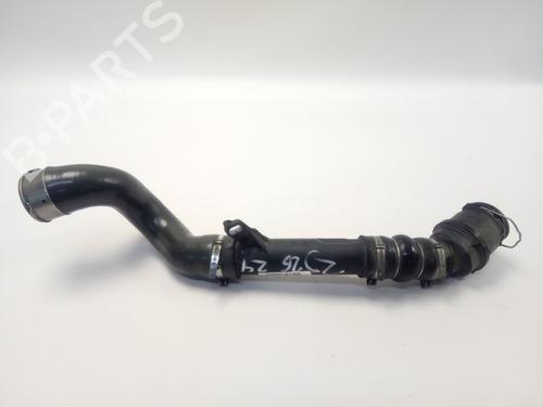 Used Other RENAULT KANGOO BE BOP (KW0/1_) 1.5 dCi 75 (75 hp) 19261874