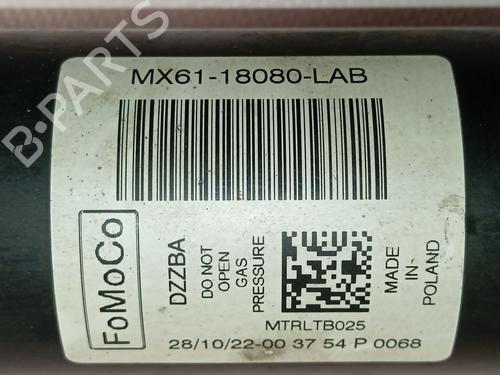Right rear shock absorber FORD KUGA II (DM2) | BP36303360M19 - Image 4