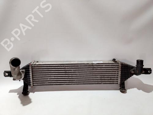 Used Intercooler NISSAN QASHQAI I (J10, NJ10) [2006-2015]  30570967
