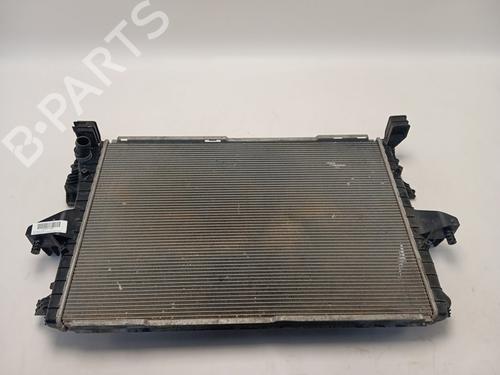 Køler VW TRANSPORTER T6 Van (SGA, SGH, SHA, SHH) [2015-2025]  24115001