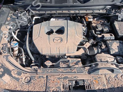  - Image 6