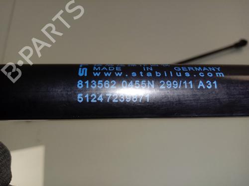 Tailgate lift support BMW 1 (F20)  | BP16433640C138