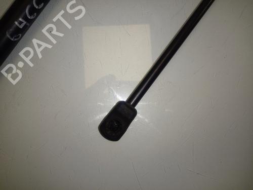 Hood lift support BMW X6 (E71, E72)  | BP15896209C139 