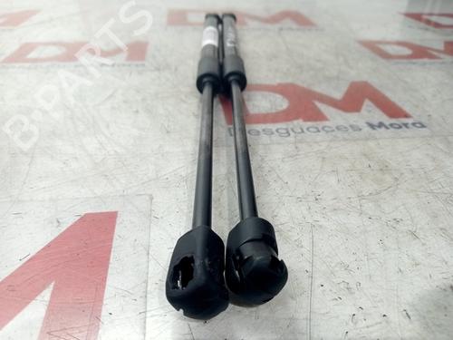 Tailgate lift support HYUNDAI i10 III (AC3, AI3)  | BP29536041C138 