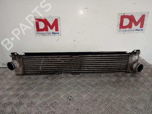 Used Intercooler FIAT DUCATO Van (250_) 120 Multijet 2,3 D 4x4 (120 hp) 12655625