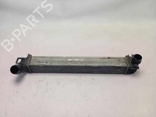Intercooler RENAULT MEGANE III Hatchback (BZ0/1_, B3_) [2008-2025]  28728285