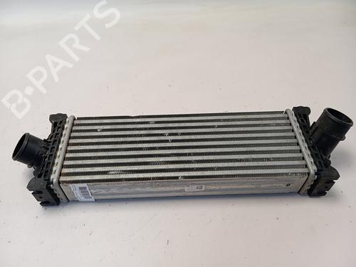 Used Intercooler FORD TRANSIT CUSTOM V710 Van (NRN) 2.5 Duratec Plug-in-Hybrid (232 hp) 28538730