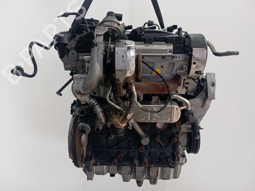 Engine VW GOLF VI (5K1) 1.6 TDI | BP36074320M1  - Image 6