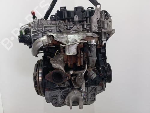 Engine RENAULT MASTER III Van (FV) | BP36050274M1 - Image 8