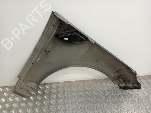 Left front fenders LAND ROVER RANGE ROVER SPORT I (L320)  | BP16322470C41 