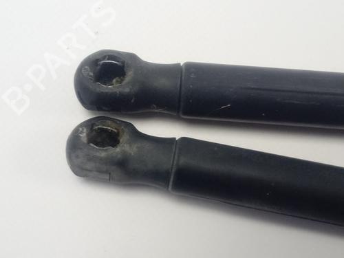 Tailgate lift support SEAT LEON (1P1)  | BP18532181C138 