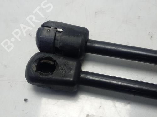 Hood lift support LAND ROVER RANGE ROVER EVOQUE (L538)  | BP14133430C139 