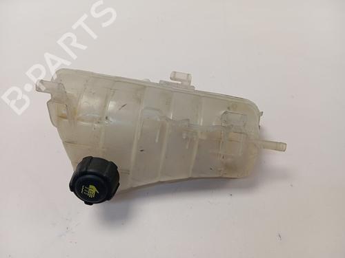 Used Expansion tank RENAULT KANGOO / GRAND KANGOO II (KW0/1_) [2008-2025]  21814137