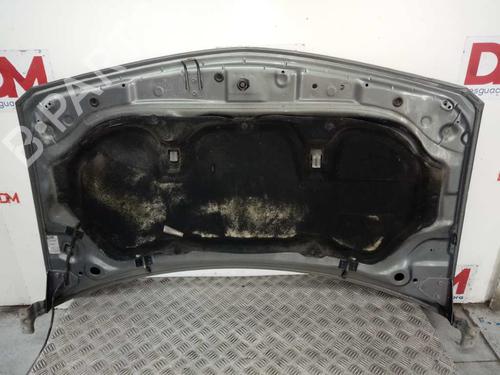 Hood RENAULT MEGANE II (BM0/1_, CM0/1_)  | BP12654395C1 