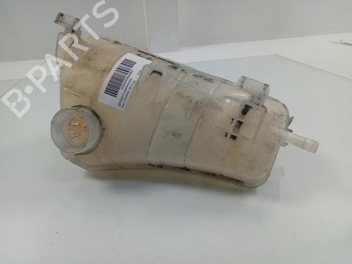 Used Expansion tank FIAT FIORINO Box Body/MPV (225_) 1.3 D Multijet (225BXD1A, 225BXB1A, 225BXB11) (75 hp) 16920144