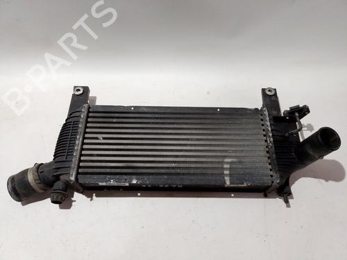 Intercooler radiateur NISSAN PATHFINDER III (R51) 2.5 dCi | BP30594077M30
