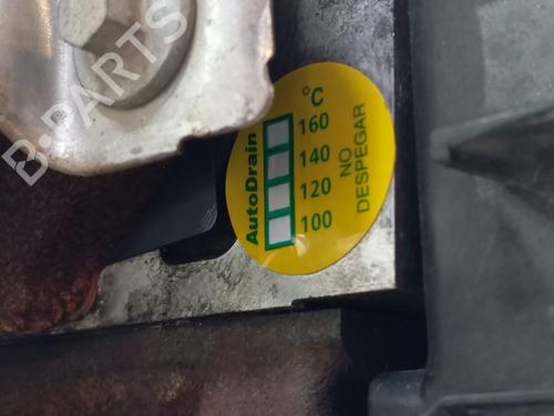Engine RENAULT KANGOO / GRAND KANGOO II (KW0/1_)  | BP25925761M1 