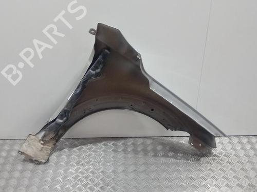 Left front fenders CHEVROLET CAPTIVA (C100, C140) 2.0 D | BP19732130C41 