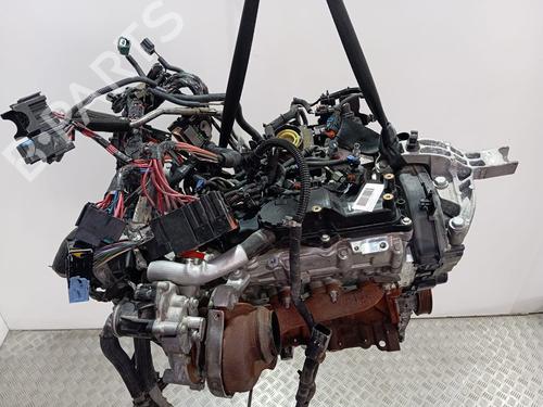 Used Engine RENAULT EXPRESS Box Body/MPV [2021-2025]  25855049