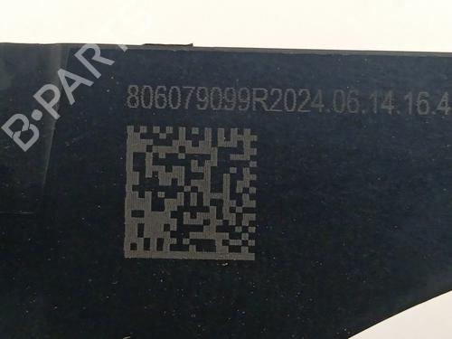 Front left exterior door handle DACIA DUSTER (PYM_, PYN_) 1.0 ECO G-100 | BP29360570C128 