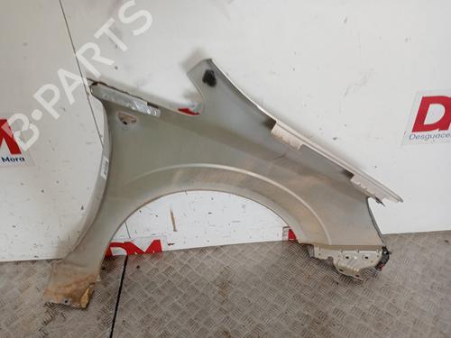 Left front fenders OPEL ZAFIRA / ZAFIRA FAMILY B (A05) 1.9 CDTI (M75) | BP12838767C41 