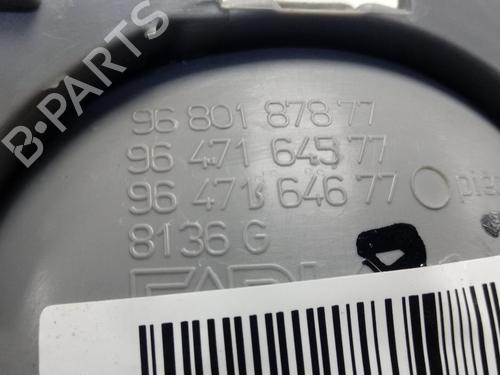 Front left interior door handle CITROËN C3 Pluriel (HB_) 1.4 HDi | BP30372669I13 - Image 4