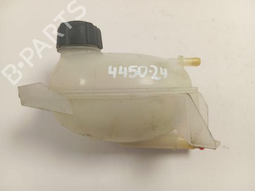 Expansion tank DACIA DOKKER MPV (KE_) | BP25855480C120