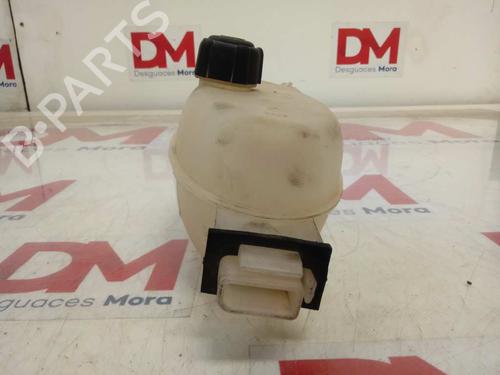 Expansion tank OPEL VIVARO A Bus (X83) 2.0 CDTI (F7, J7, A07) | BP29409861C120 