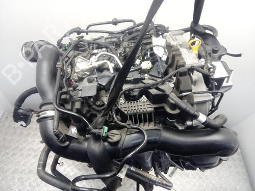 Motor FORD PUMA (J2K, CF7)  | BP17432872M1 