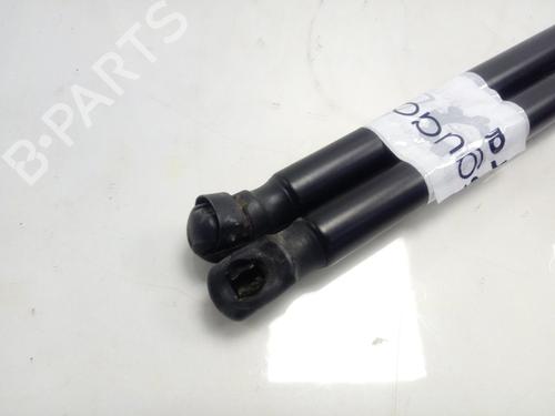 Tailgate lift support OPEL CORSA D (S07)  | BP15617020C138 