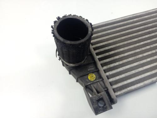 Ladeluftkühler SSANGYONG KYRON  | BP17905546M30 