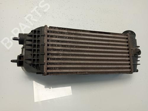 Intercooler PEUGEOT 307 CC (3B)  | BP19515018M30 