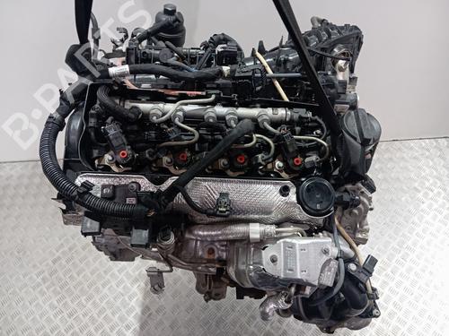 Used Engine Engine 18876736 18876736