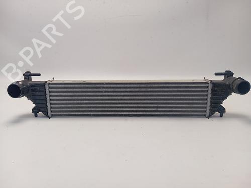 Intercooler FIAT TIPO Hatchback (356_, 357_) [2016-2025]  28974971